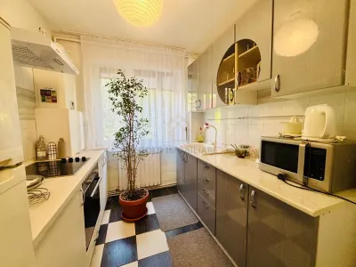 Apartament 2 camere de vanzare cartier Săsar - foto 3