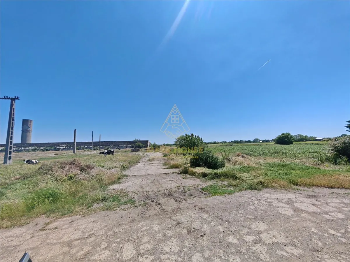 Teren de vanzare 5,86 ha langa A7 – ideal logistica, industrie, investitie | Buzau – Vadu Pasii - foto 11