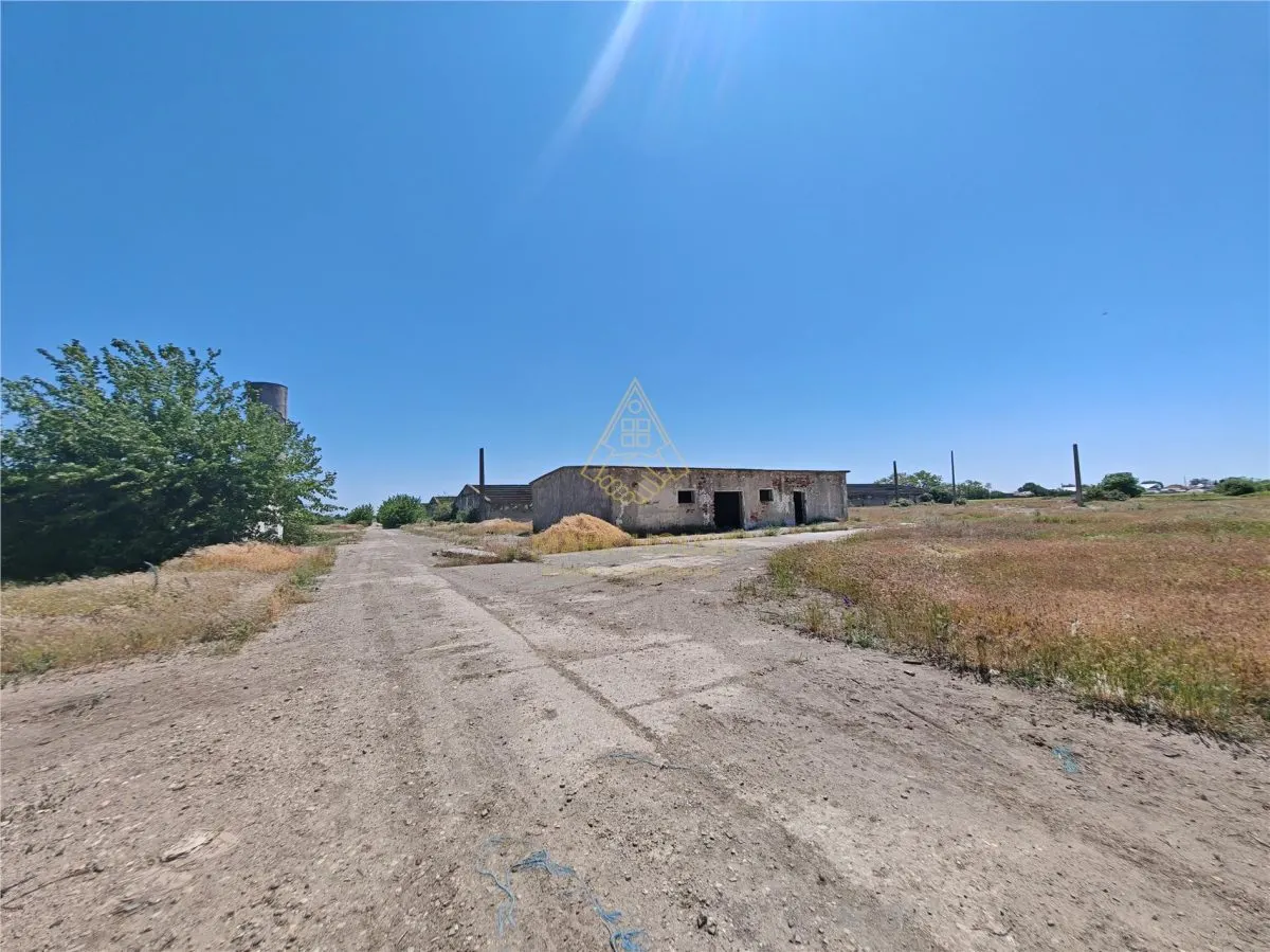 Teren de vanzare 5,86 ha langa A7 – ideal logistica, industrie, investitie | Buzau – Vadu Pasii - foto 13