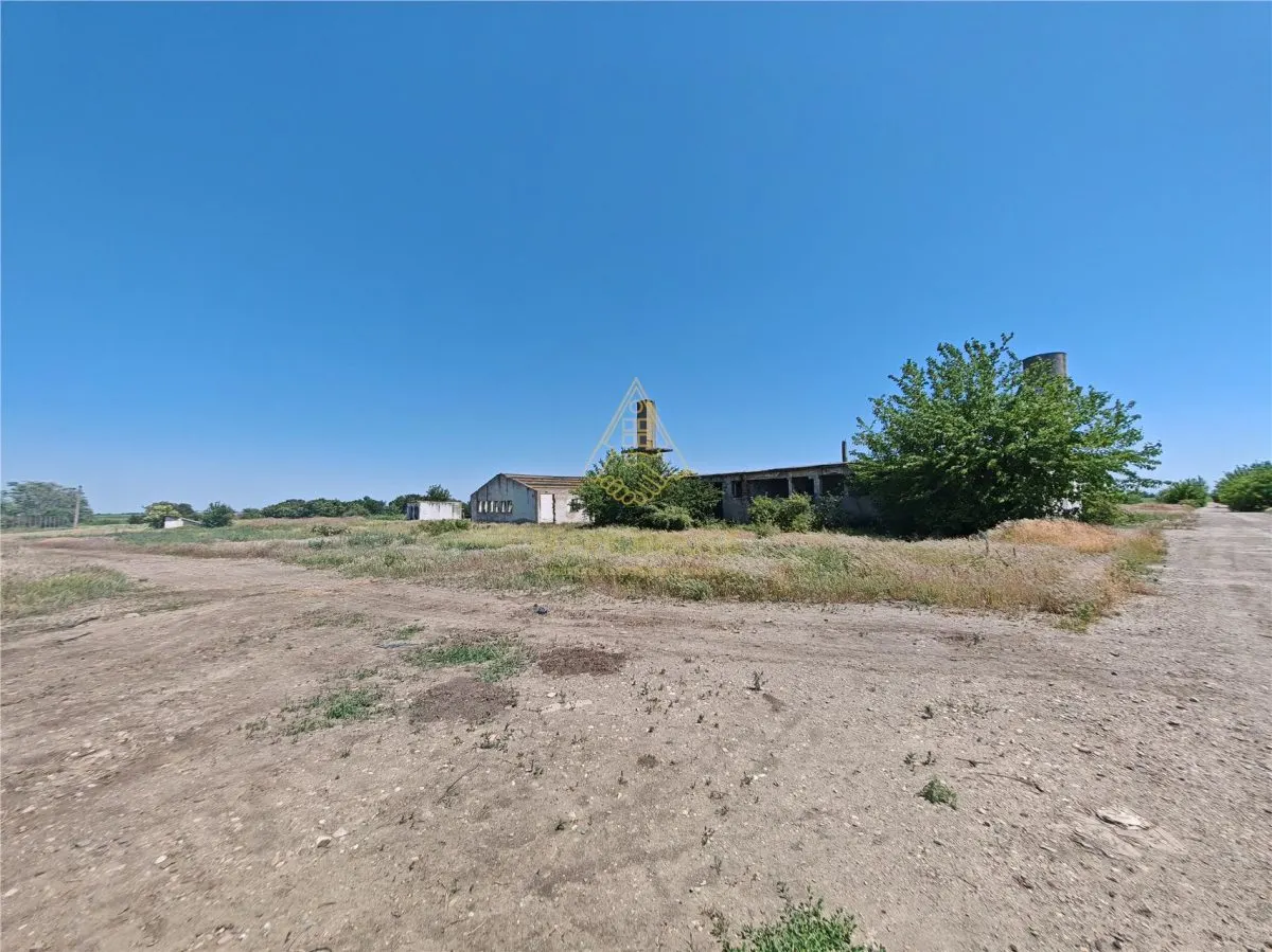 Teren de vanzare 5,86 ha langa A7 – ideal logistica, industrie, investitie | Buzau – Vadu Pasii - foto 14