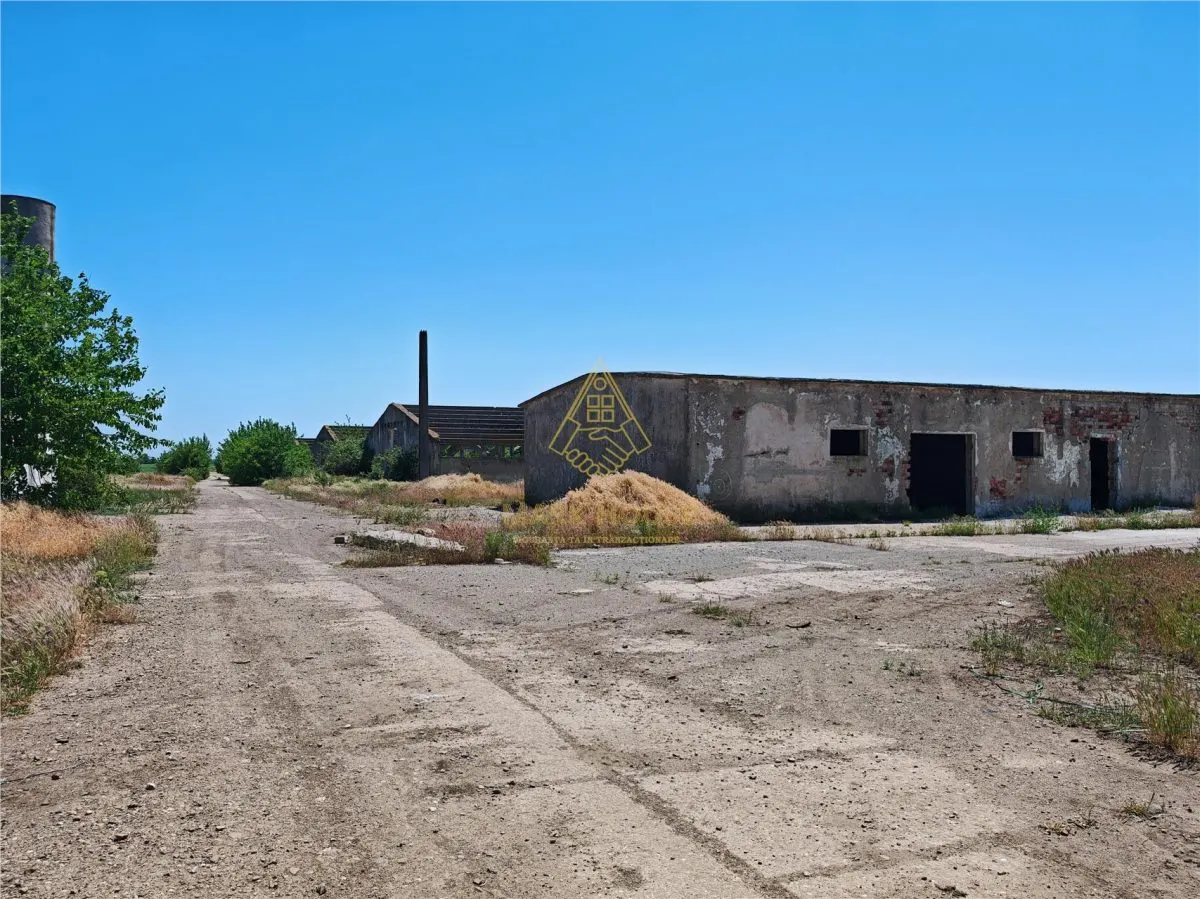 Teren de vanzare 5,86 ha langa A7 – ideal logistica, industrie, investitie | Buzau – Vadu Pasii - foto 16