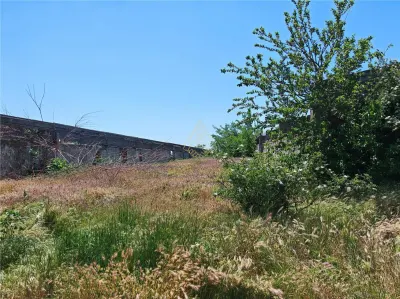 Teren de vanzare 5,86 ha langa A7 – ideal logistica, industrie, investitie | Buzau – Vadu Pasii - foto 18