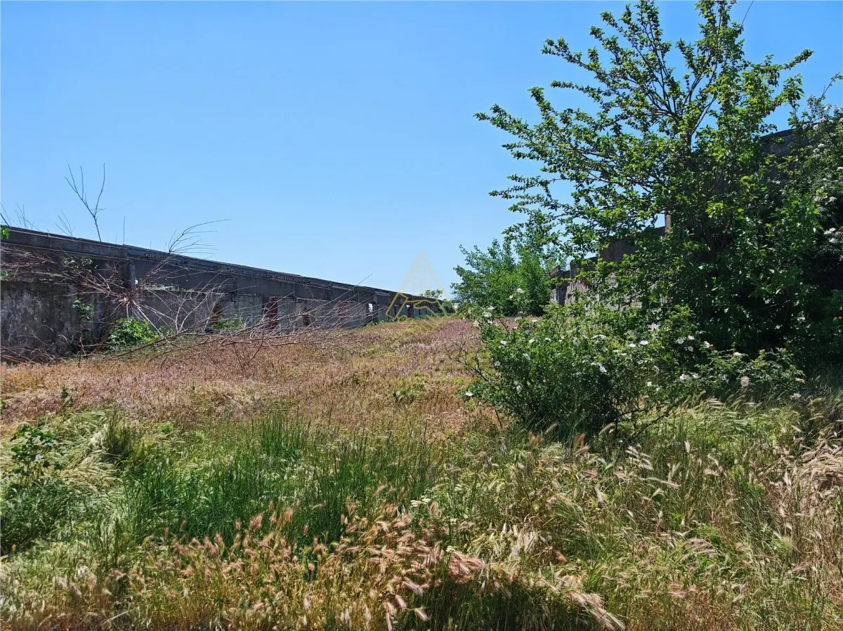Teren de vanzare 5,86 ha langa A7 – ideal logistica, industrie, investitie | Buzau – Vadu Pasii - foto 19