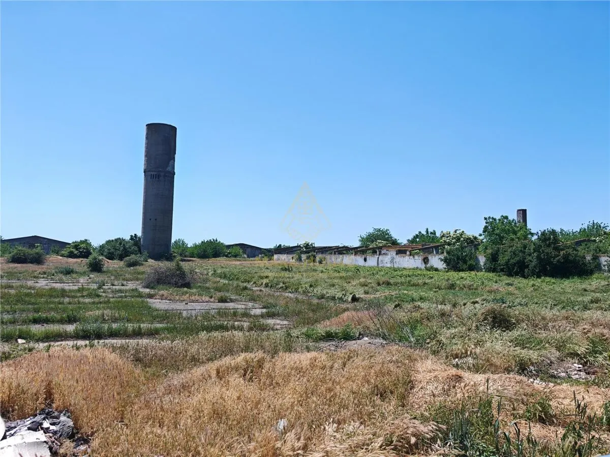 Teren de vanzare 5,86 ha langa A7 – ideal logistica, industrie, investitie | Buzau – Vadu Pasii - foto 22