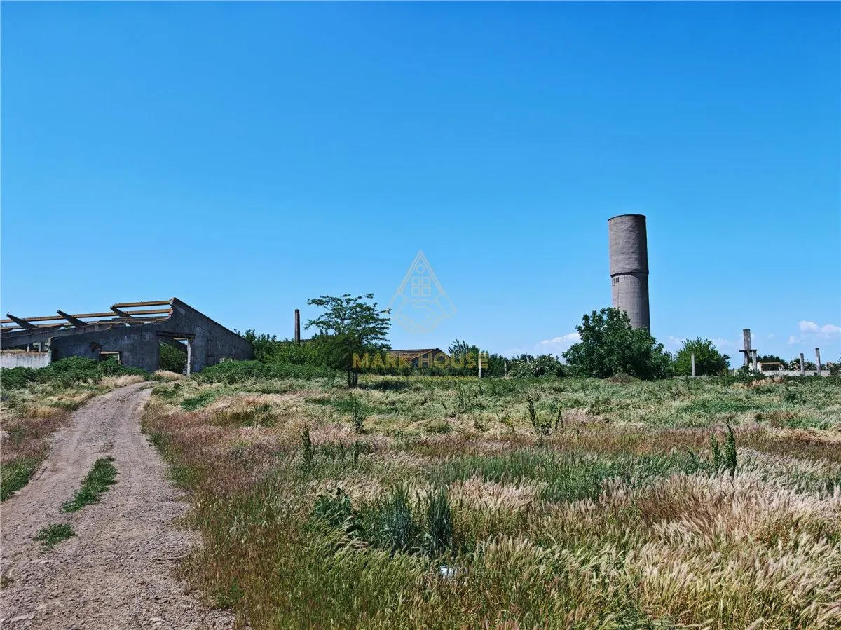 Teren de vanzare 5,86 ha langa A7 – ideal logistica, industrie, investitie | Buzau – Vadu Pasii - foto 5