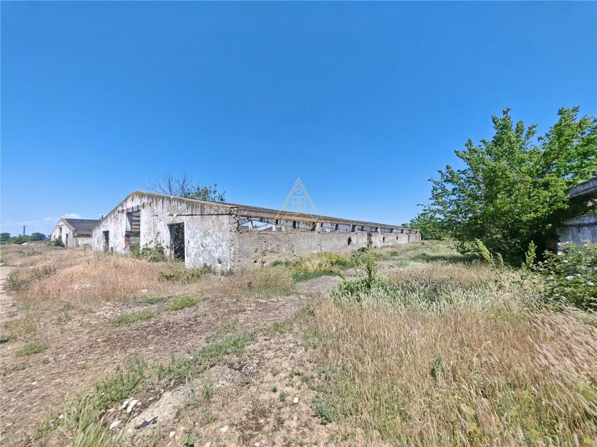 Teren de vanzare 5,86 ha langa A7 – ideal logistica, industrie, investitie | Buzau – Vadu Pasii - foto 6
