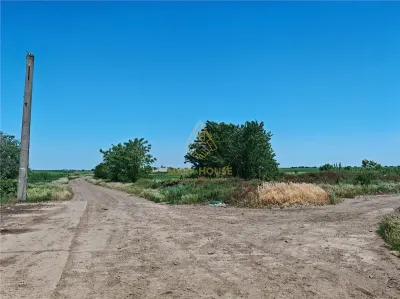 Teren de vanzare 5,86 ha langa A7 – ideal logistica, industrie, investitie | Buzau – Vadu Pasii - foto 7