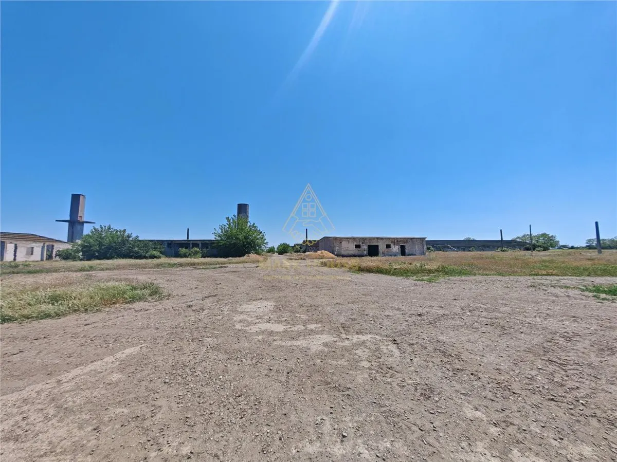 Teren de vanzare 5,86 ha langa A7 – ideal logistica, industrie, investitie | Buzau – Vadu Pasii - foto 10