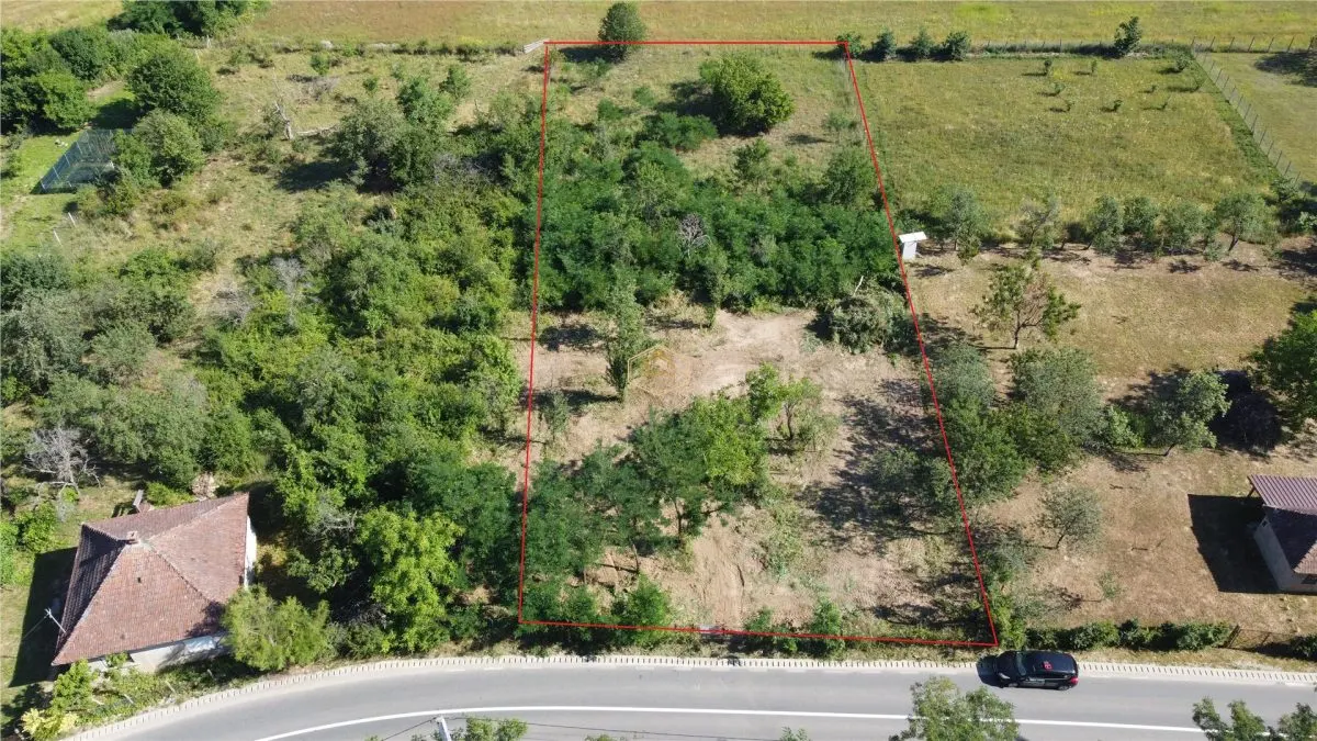 Priveliste de vis! Teren intravilan - 2.496 mÂ² in Ardud-Vii - foto 3