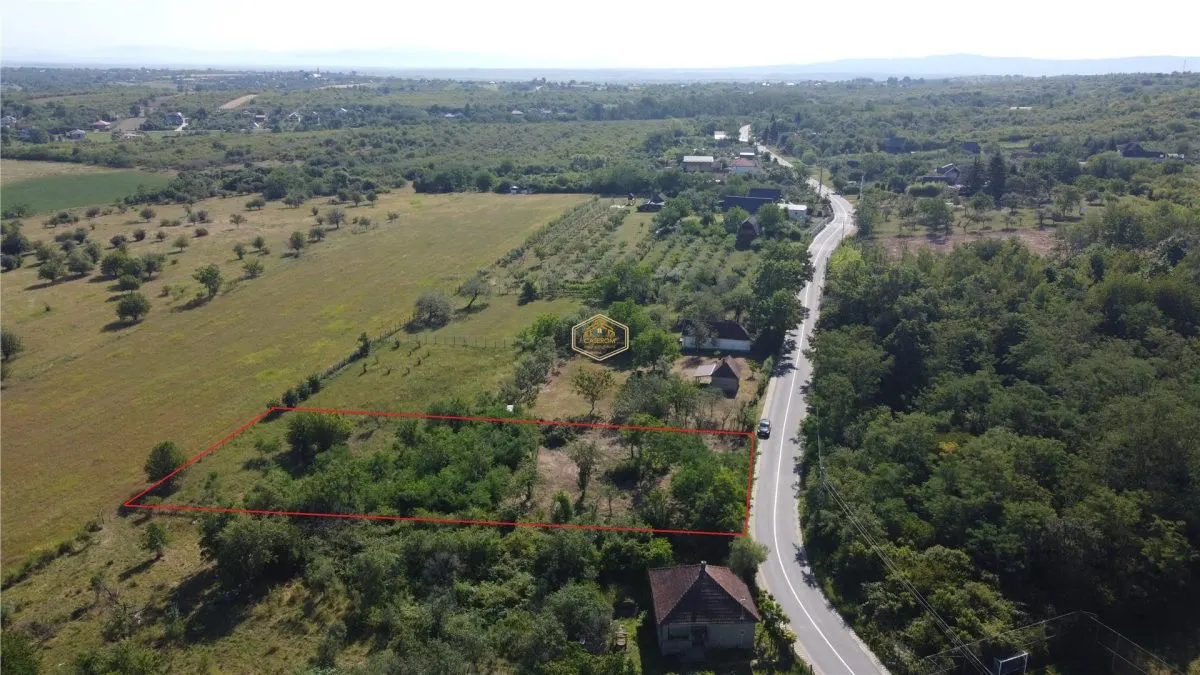 Priveliste de vis! Teren intravilan - 2.496 mÂ² in Ardud-Vii - foto 4
