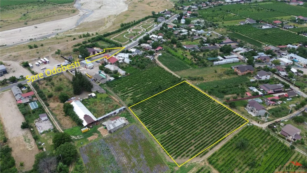 Teren de vanzare, 7425mp,  Unirea Odobesti - Extravilan - foto 2