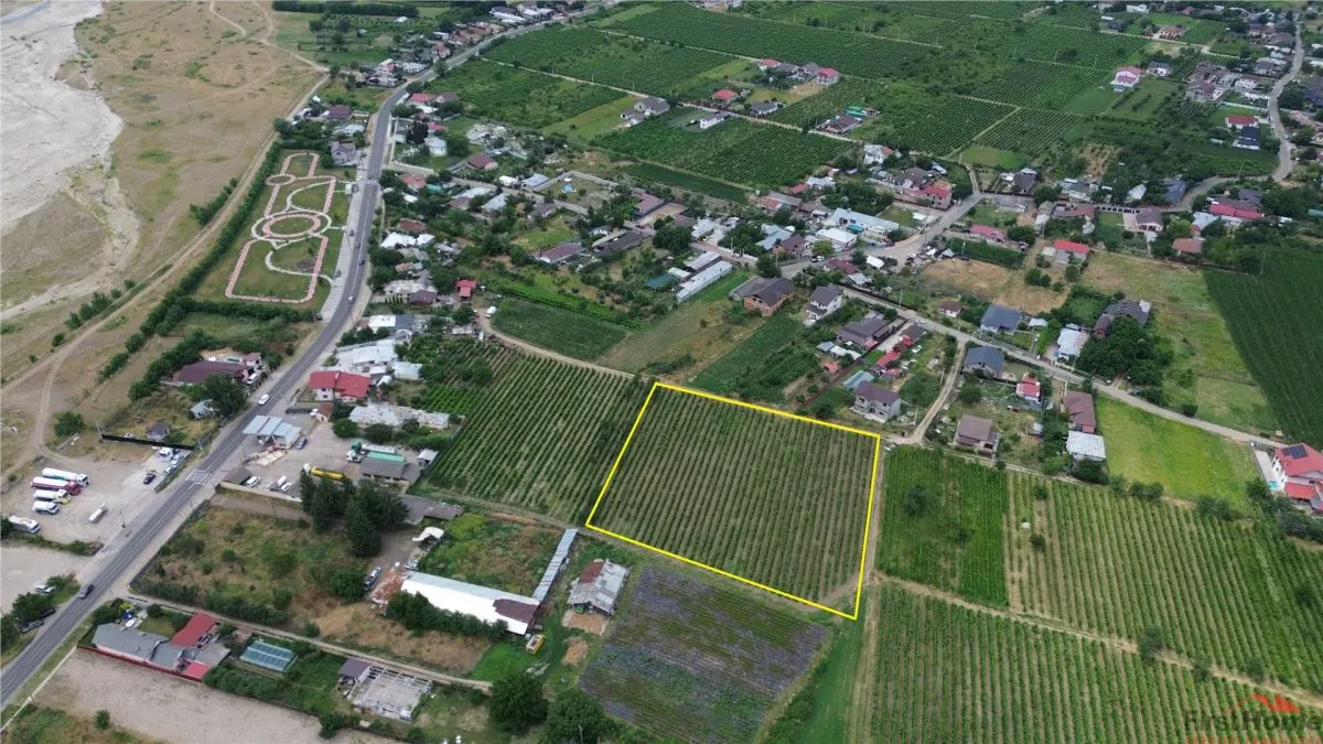 Teren de vanzare, 7425mp,  Unirea Odobesti - Extravilan - foto 3