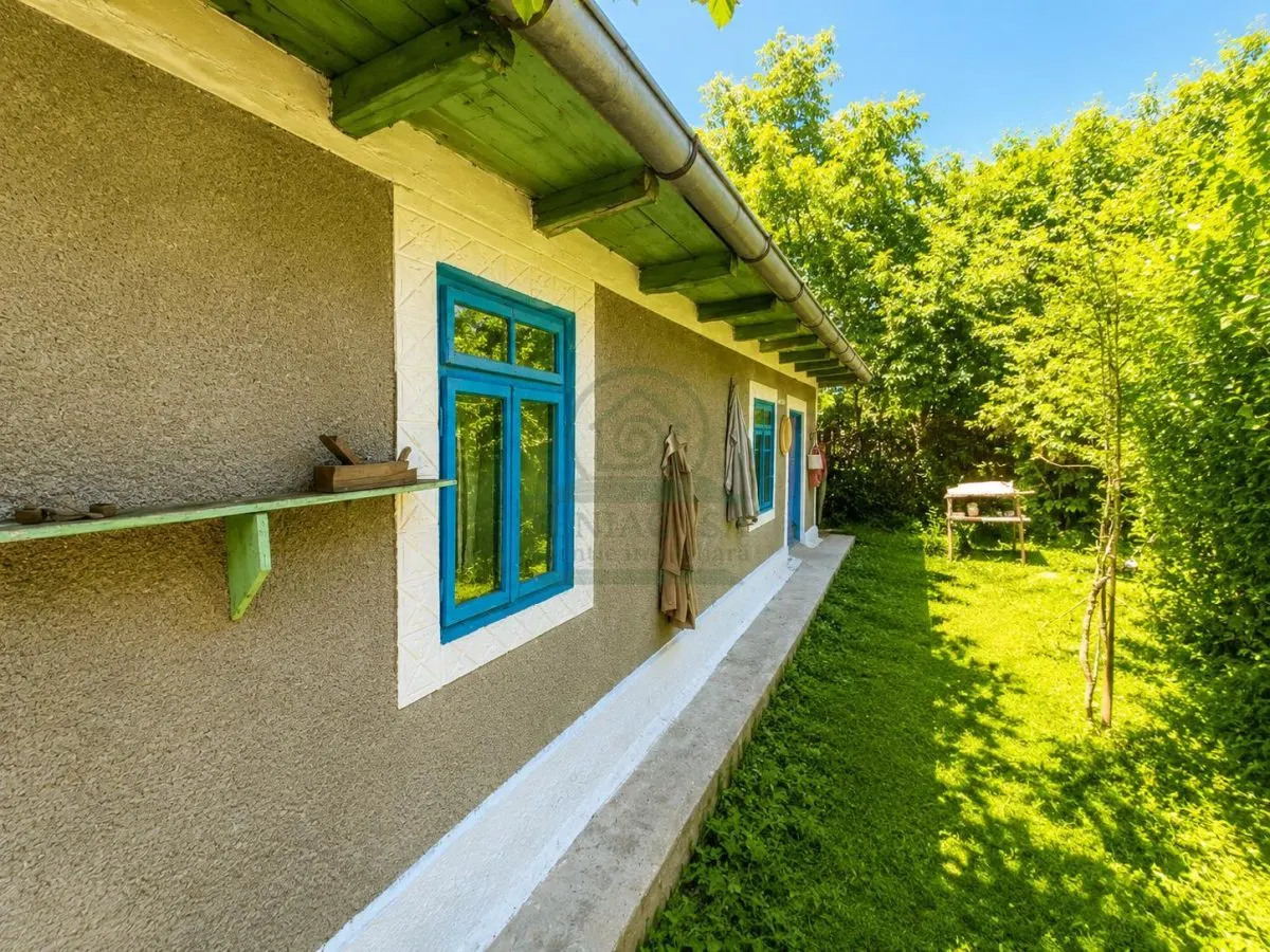 Casa + teren 3000 mp Poiana Iasi - foto 11