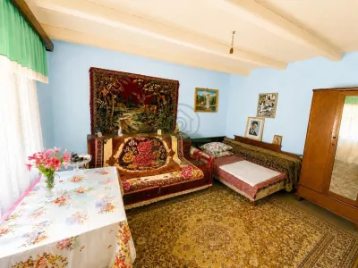 Casa + teren 3000 mp Poiana Iasi - foto 4