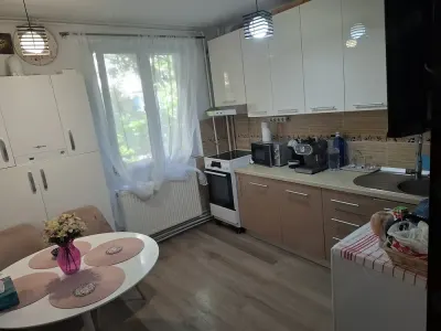 Vanzare Apartament 2 camere-Berceni - foto 7