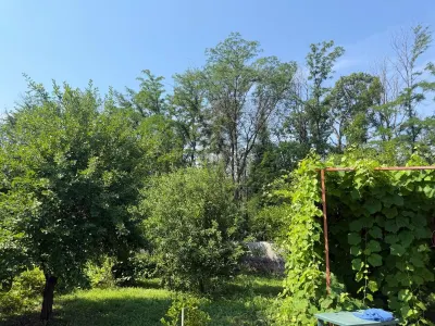 Casa din lemn masiv | 3 camere | Teren 5.000mp -Berceni Prahova - foto 13