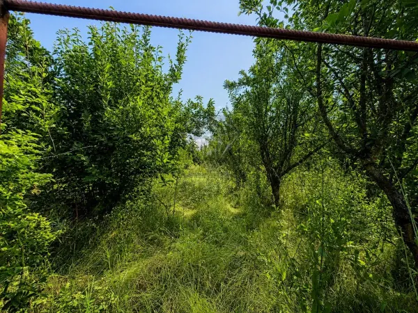 Casă 3 camere Berceni - poza 17