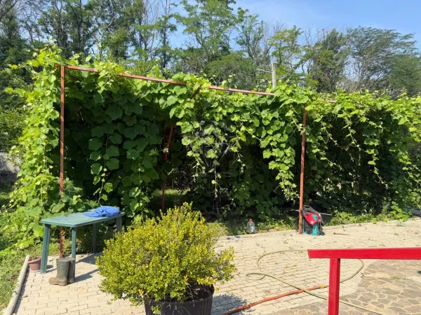 Casă 3 camere Berceni - poza 10