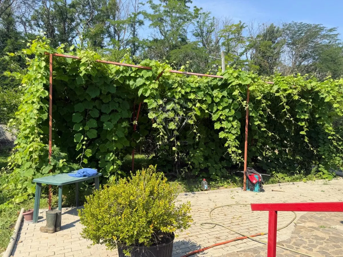 Casa din lemn masiv | 3 camere | Teren 5.000mp -Berceni Prahova - foto 10