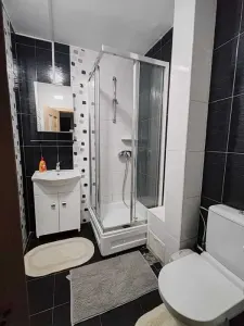 Apartament 2 camere decomandat, Podu Roș, 52 mp, mobilat - foto 6
