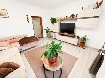 Casa individuala cu teren de 1.480 mp in Dumbravita - foto 2