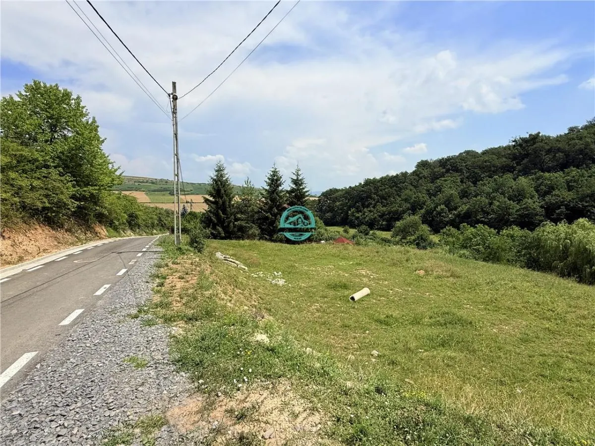Vand teren 2500 mp in Unirii zona Laboratorului Denisa - foto 1