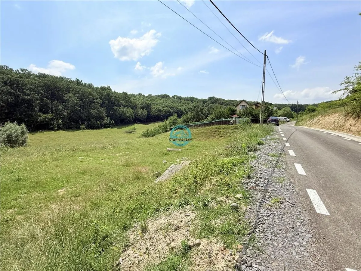 Vand teren 2500 mp in Unirii zona Laboratorului Denisa - foto 2