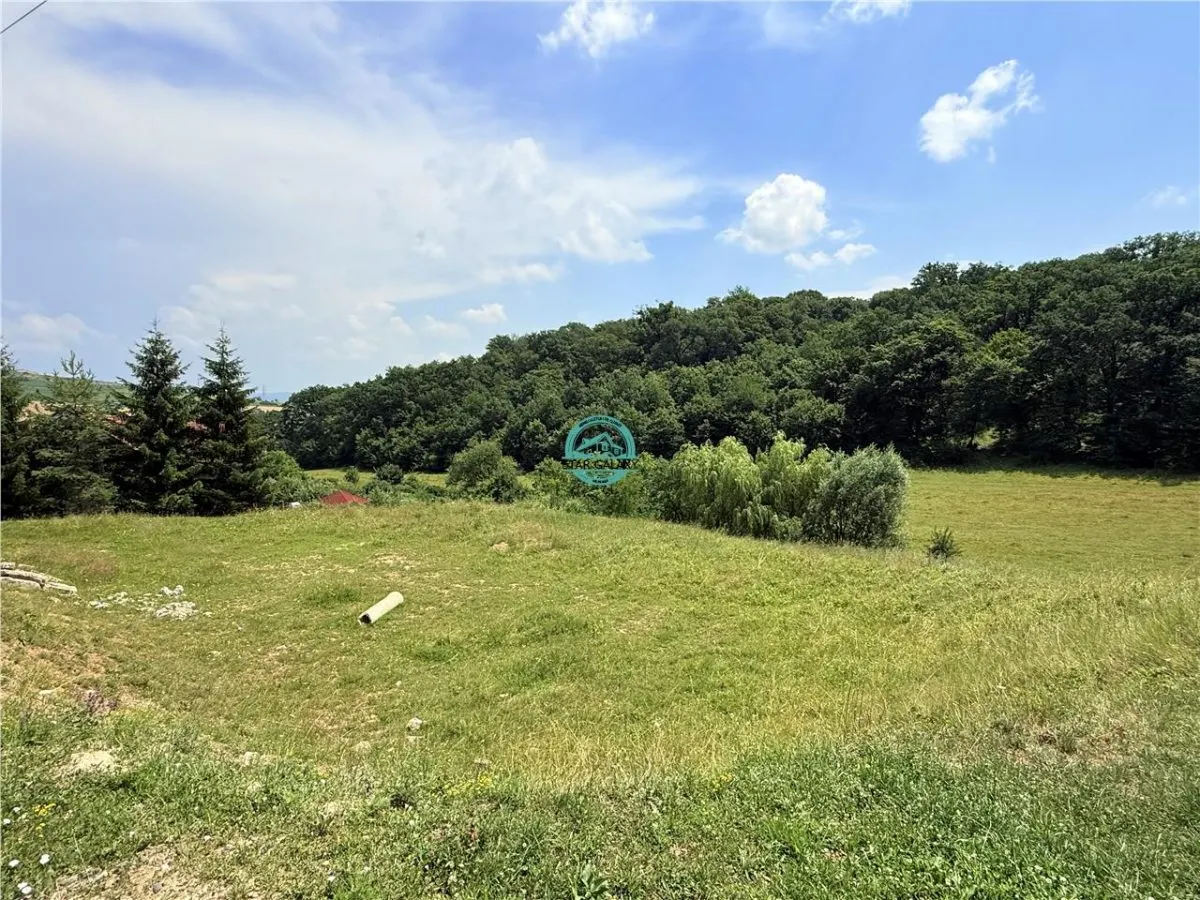Vand teren 2500 mp in Unirii zona Laboratorului Denisa - foto 3