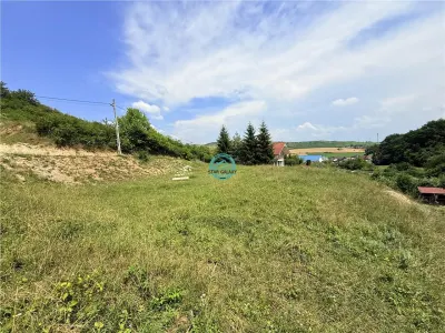 Vand teren 2500 mp in Unirii zona Laboratorului Denisa - foto 5