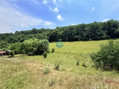 Vand teren 2500 mp in Unirii zona Laboratorului Denisa - foto 7