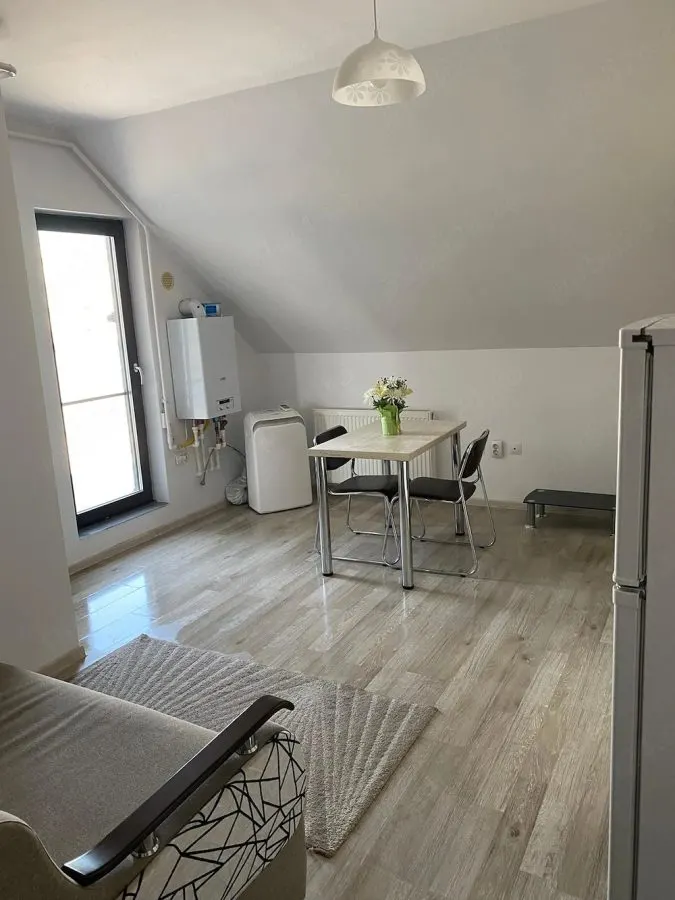 Apartament modern cu 2 camere - Central, zona Palas - foto 2