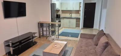 Apartament 2 camere - Green Park Tătărași - foto 8