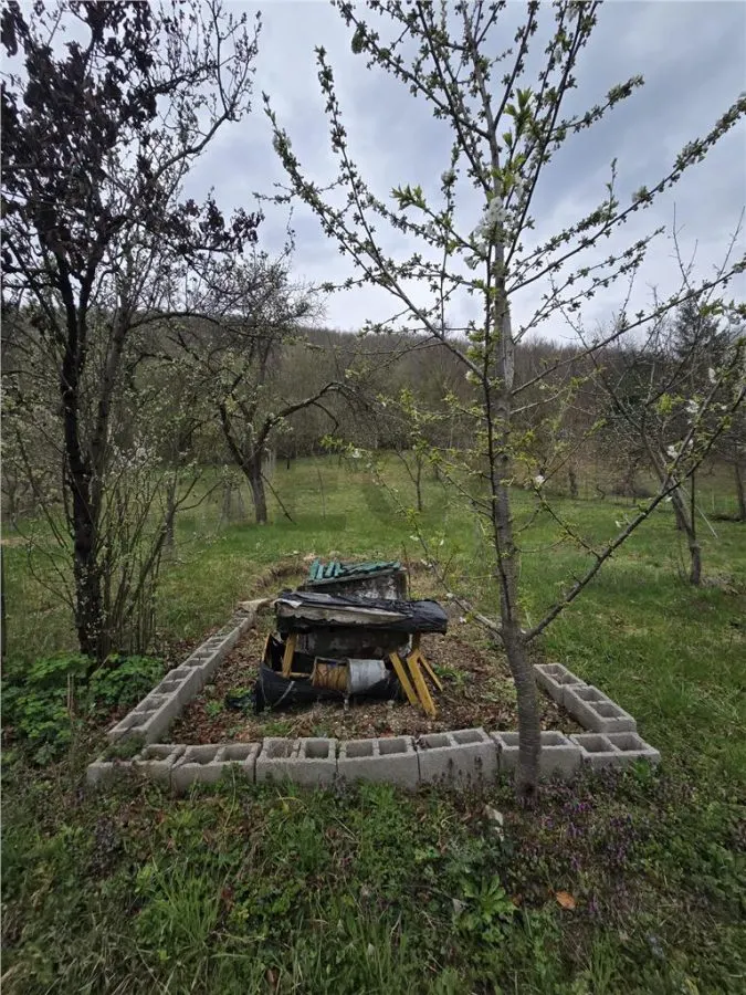 RECO Casa in Sustiu - foto 25