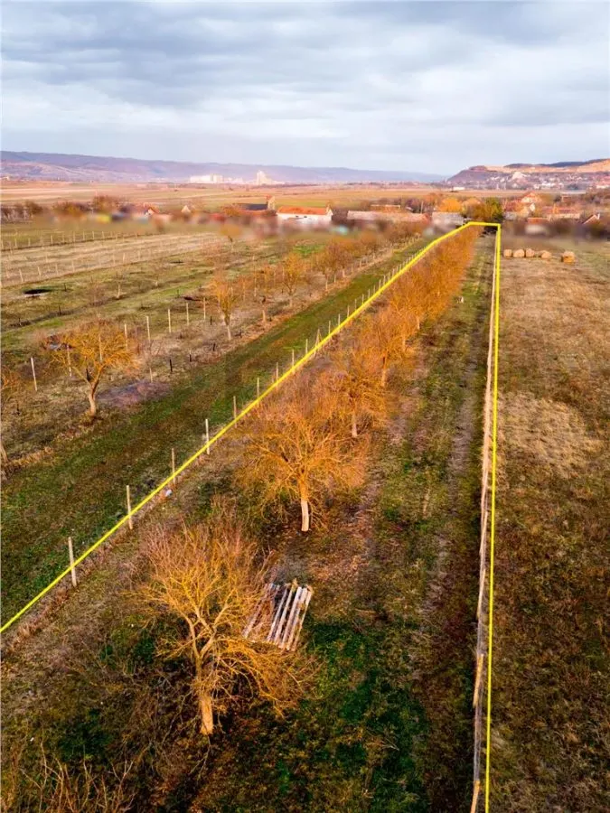 RECO Teren intravilan construbil 5342 mp-  sat.Hotar - foto 5