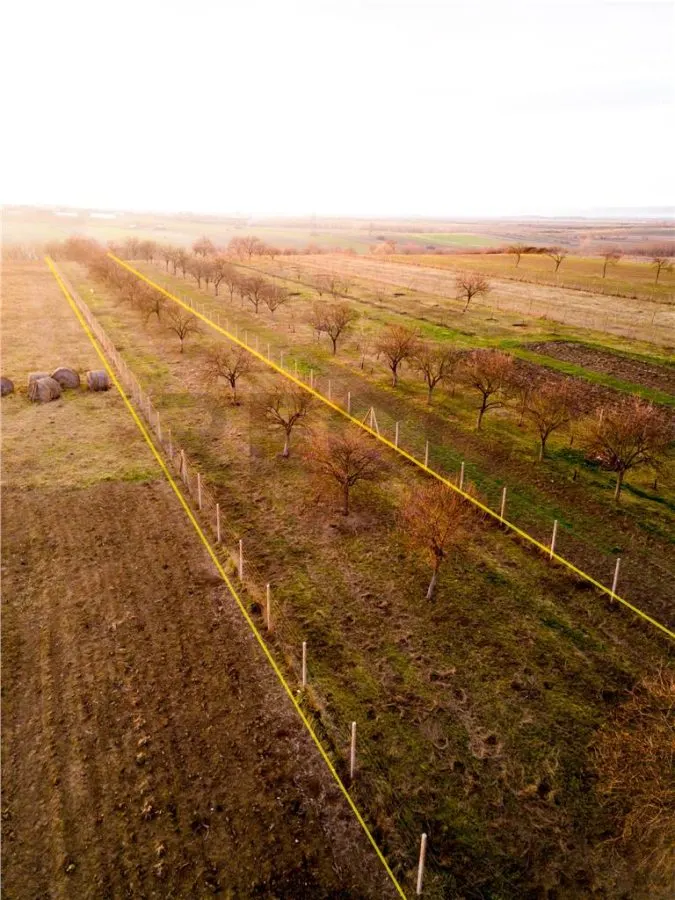 RECO Teren intravilan construbil 5342 mp-  sat.Hotar - foto 7
