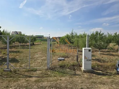 TEREN INTRAVILAN | 1000 MP | PALEU | BIHOR - Paleu