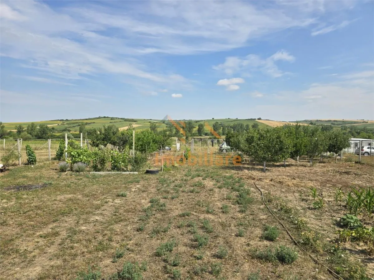 TEREN INTRAVILAN | 1000 MP | PALEU | BIHOR - foto 3