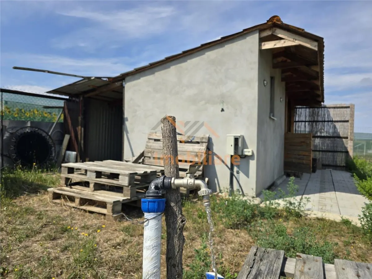 TEREN INTRAVILAN | 1000 MP | PALEU | BIHOR - foto 6