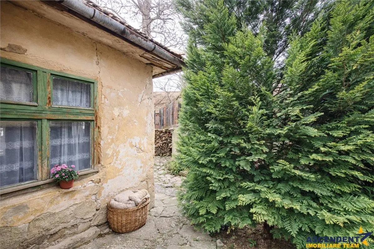 Casa cu 850 mp gradina, Centrul Istoric - Schei, Brasov - foto 4