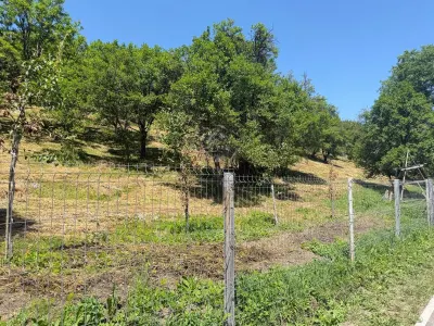 Teren Valea Doftanei, Tesila, utilitati la strada, padure in spate - Valea Doftanei