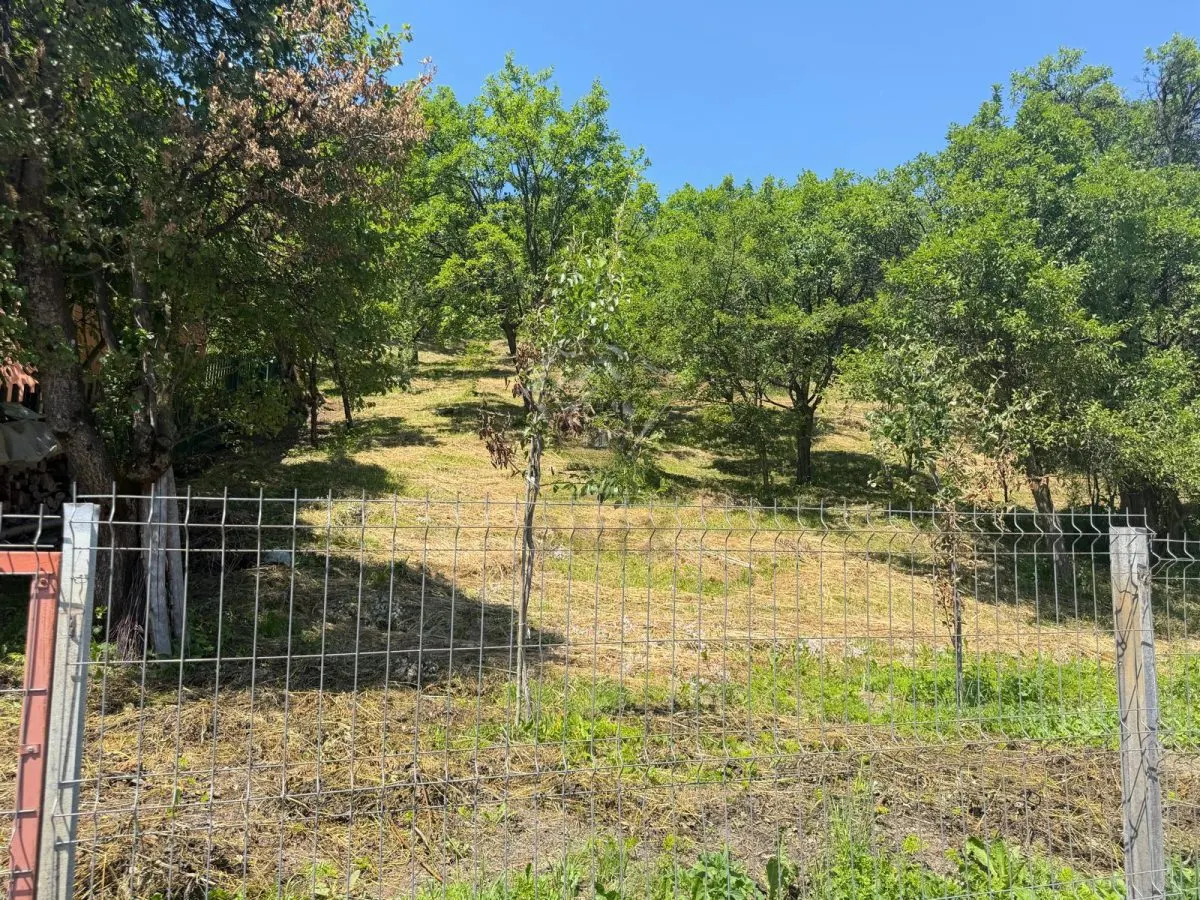 Teren Valea Doftanei, Tesila, utilitati la strada, padure in spate - foto 5