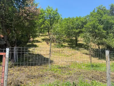 Teren Valea Doftanei, Tesila, utilitati la strada, padure in spate - foto 6