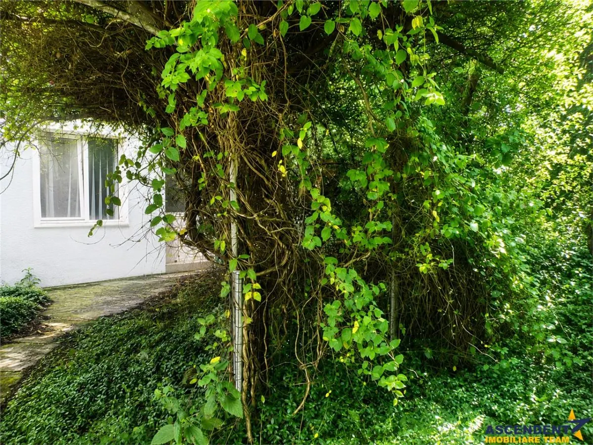 Casa saseasca, 2 corpuri, 9 camere, cu teren 2.826 mp, rezidential sau potential afacere, Sanpetru, Brasov - foto 1
