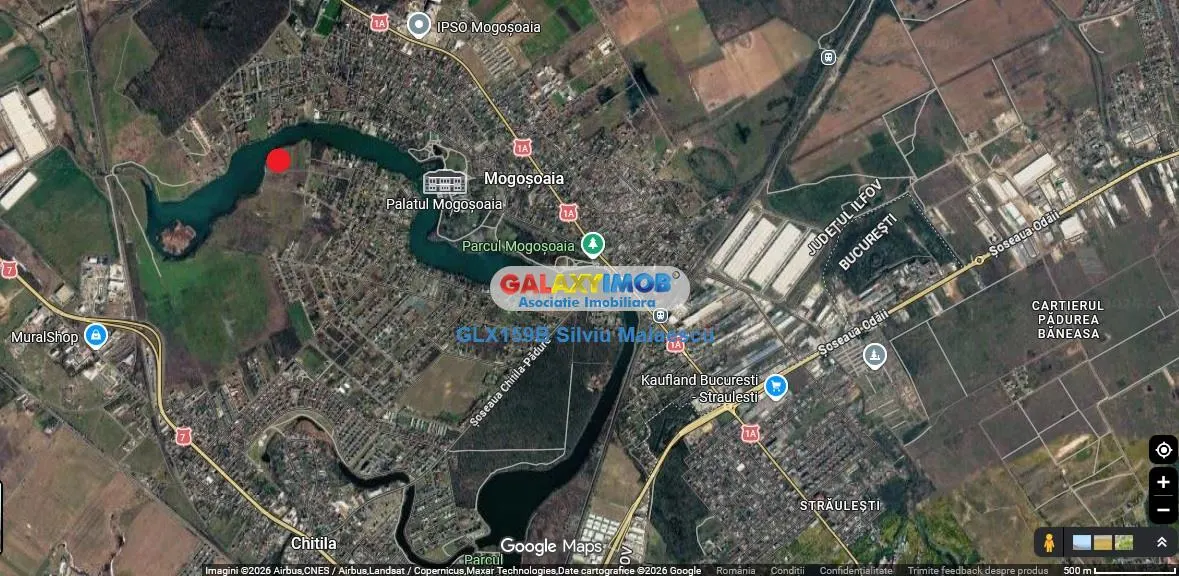 Mogosoaia 1.325 Mp LAC - IDEAL INVESTITIE - foto 1