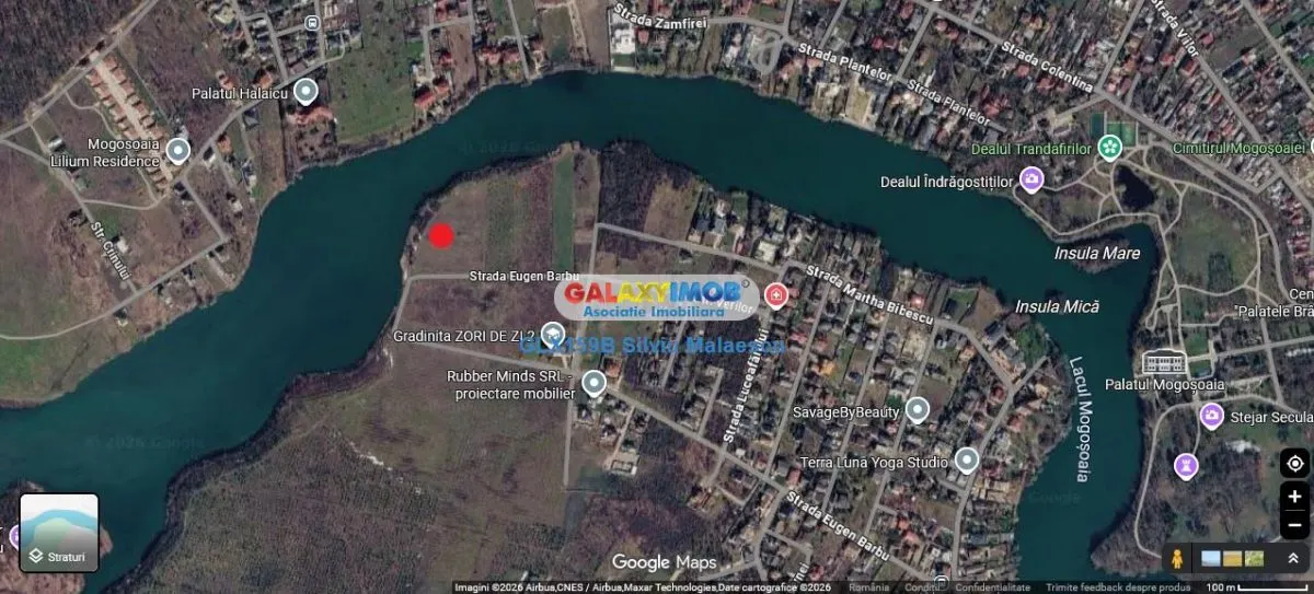 Mogosoaia 1.325 Mp LAC - IDEAL INVESTITIE - foto 4