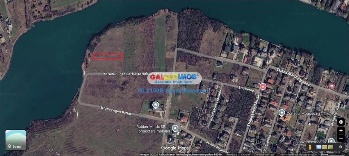 Mogosoaia 1.325 Mp LAC - IDEAL INVESTITIE - foto 5