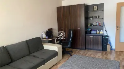 Apartament 1 camera zona Targu  Cucu - Profesor Paul - foto 2