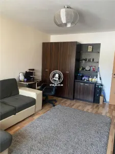 Apartament 1 camera zona Targu  Cucu - Profesor Paul - foto 3