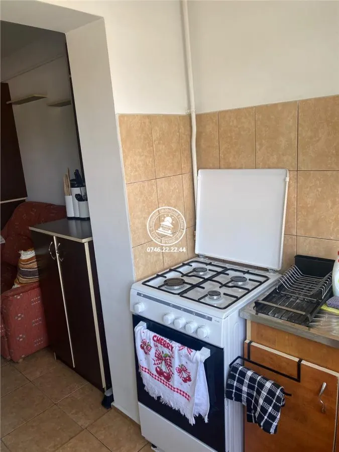 Apartament 1 camera zona Targu  Cucu - Profesor Paul - foto 6