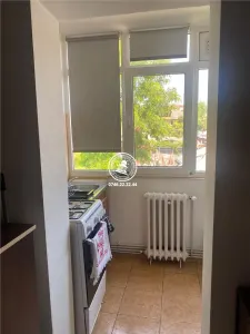 Apartament 1 camera zona Targu  Cucu - Profesor Paul - foto 7